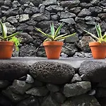 Pocinhobay Bed & Breakfast Madalena (Azores)