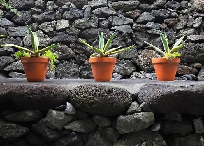 Pocinhobay Couette-café Madalena (Azores)