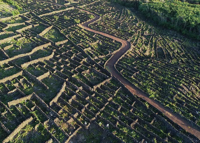 Pocinhobay 4* Madalena (Azores)